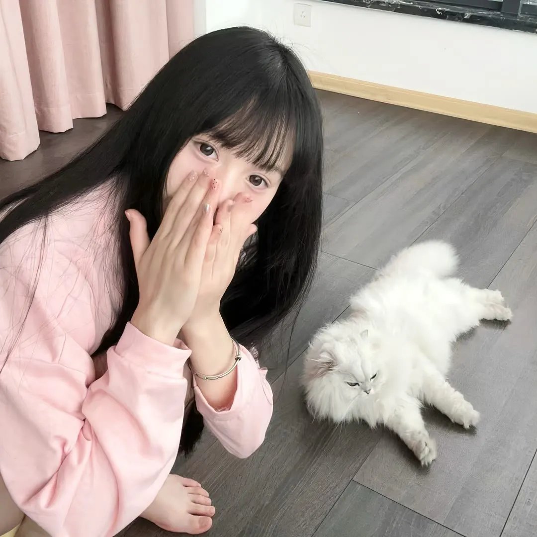 剧集连播