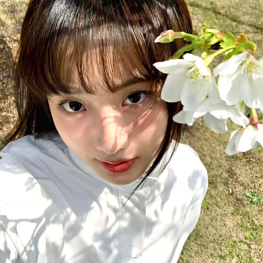 鲨鱼侵袭